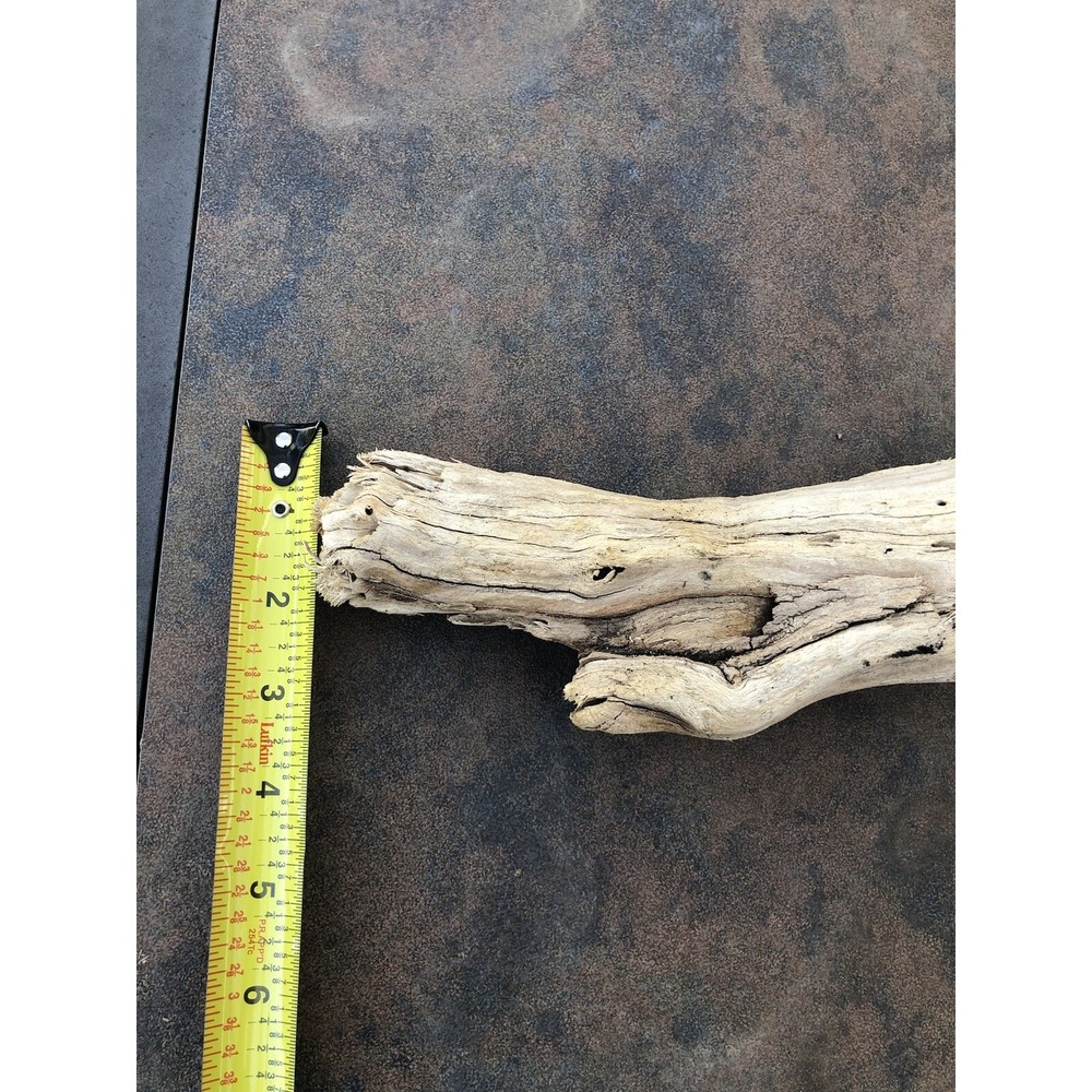 Natural Driftwood for Plants Terrarium Taxidermy Art Projects - Picture 3 of 7
